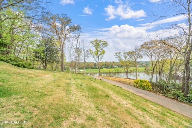 2101 Woodmere Ln, Knoxville, TN 37920 - photo 12