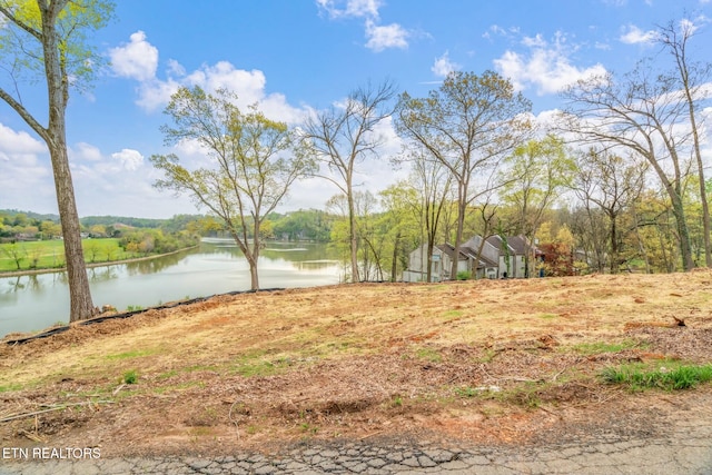 2101 Woodmere Ln, Knoxville, TN 37920 - photo 3