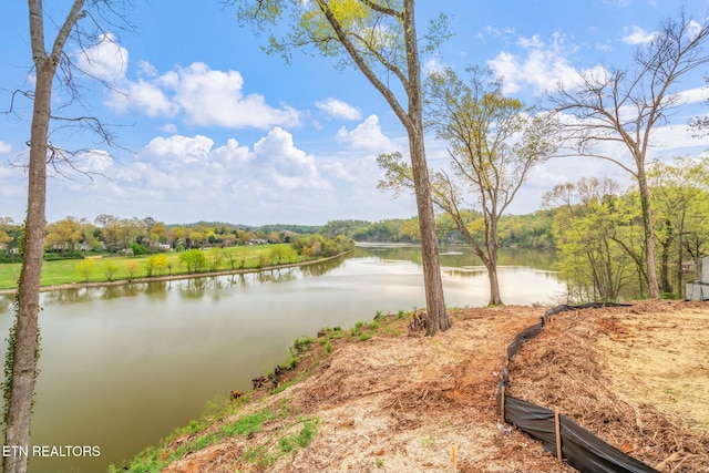 2101 Woodmere Ln, Knoxville, TN 37920 - photo 7