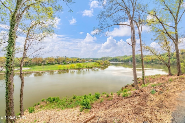 2101 Woodmere Ln, Knoxville, TN 37920 - photo 2