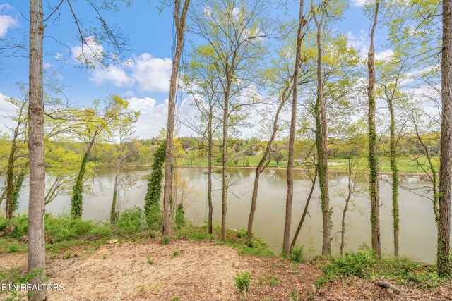 2101 Woodmere Ln, Knoxville, TN 37920 - photo 4