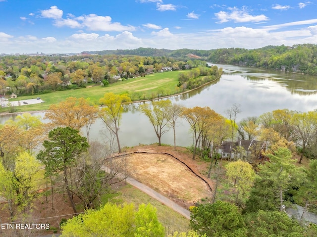 2101 Woodmere Ln, Knoxville, TN 37920 - photo 13