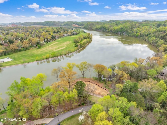 2101 Woodmere Ln, Knoxville, TN 37920 - photo 6