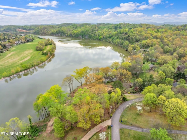 2101 Woodmere Ln, Knoxville, TN 37920 - photo 11