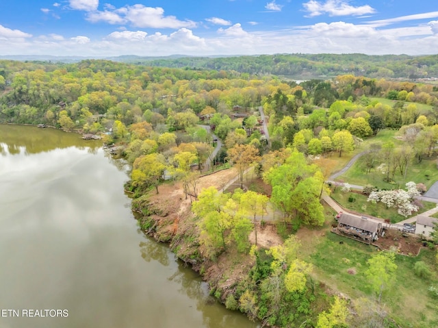 2101 Woodmere Ln, Knoxville, TN 37920 - photo 15
