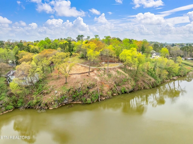2101 Woodmere Ln, Knoxville, TN 37920 - photo 22