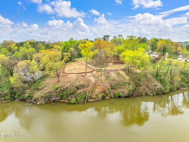 2101 Woodmere Ln, Knoxville, TN 37920 - photo 9