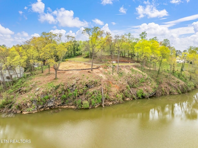 2101 Woodmere Ln, Knoxville, TN 37920 - photo 5