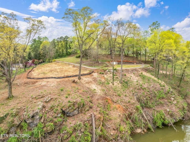 2101 Woodmere Ln, Knoxville, TN 37920 - photo 23