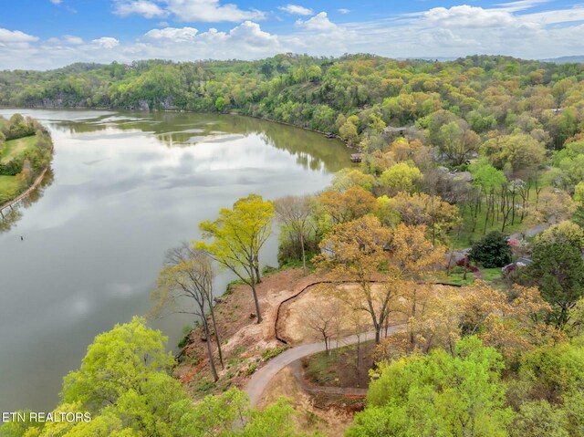 2101 Woodmere Ln, Knoxville, TN 37920 - photo 8
