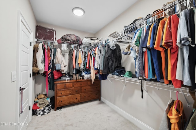 walk in closet featuring carpet flooring