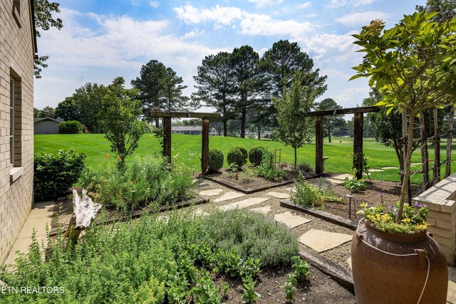 11901 S Fox Den Dr, Knoxville, TN 37934 - view of green lawn