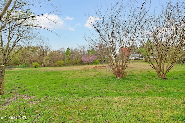 107 Ford St, Byrdstown, TN 38549 - view of yard