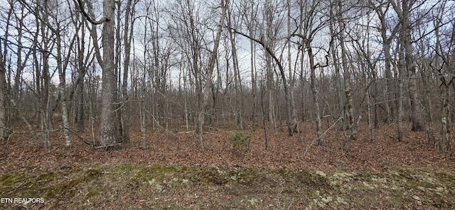 13 Pond Rd, Monterey, TN 38574