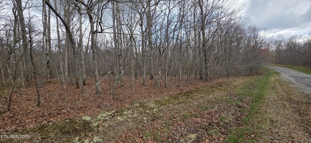 13 Pond Rd, Monterey, TN 38574
