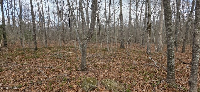 13 Pond Rd, Monterey, TN 38574