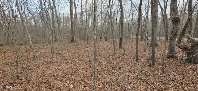 13 Pond Rd, Monterey, TN 38574