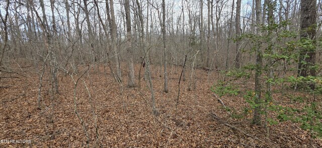 13 Pond Rd, Monterey, TN 38574