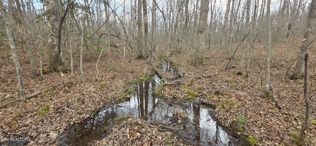 13 Pond Rd, Monterey, TN 38574