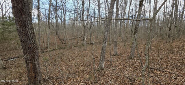 13 Pond Rd, Monterey, TN 38574