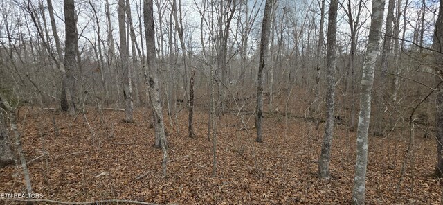 13 Pond Rd, Monterey, TN 38574