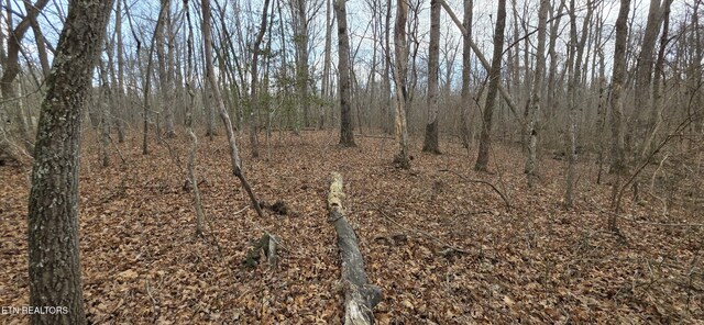 13 Pond Rd, Monterey, TN 38574