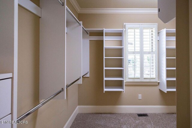 737 Bent Ridge Ln, Knoxville, TN 37922 - photo 28