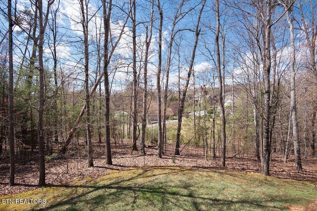737 Bent Ridge Ln, Knoxville, TN 37922 - photo 41