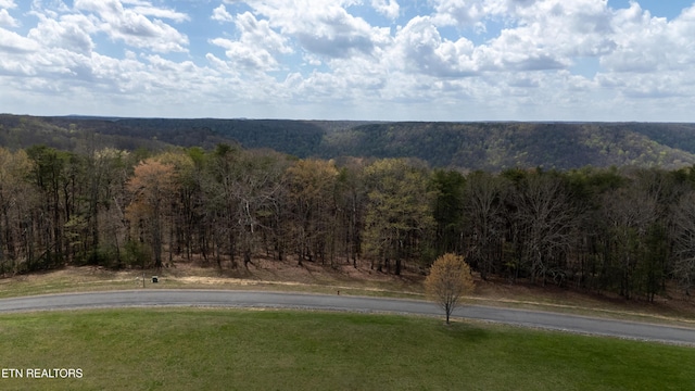 0 High Meadow Dr, Spencer, TN 38585