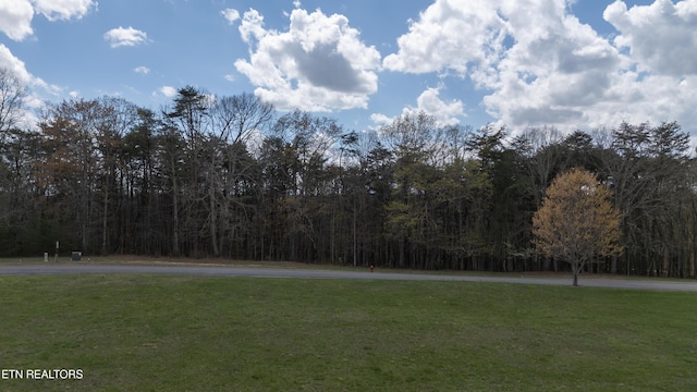 0 High Meadow Dr, Spencer, TN 38585
