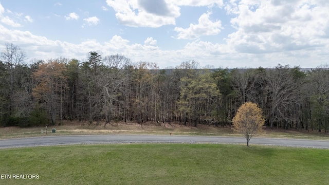 0 High Meadow Dr, Spencer, TN 38585