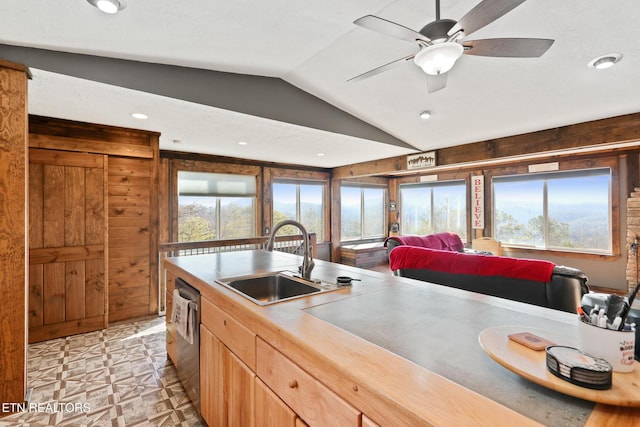 kitchen featuring stainless steel dishwasher, vaulted ceiling, a sink, and a healthy amount of sunlight