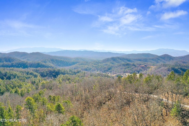 property view of mountains with a forest view