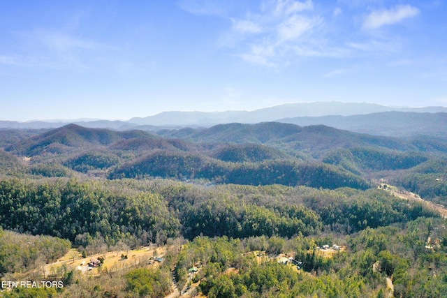 mountain view with a view of trees