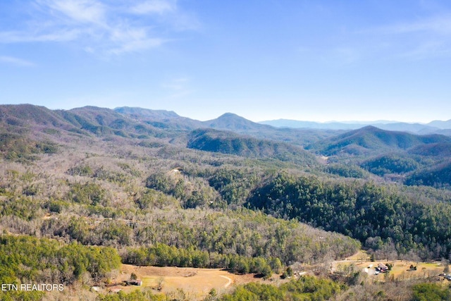 property view of mountains featuring a wooded view