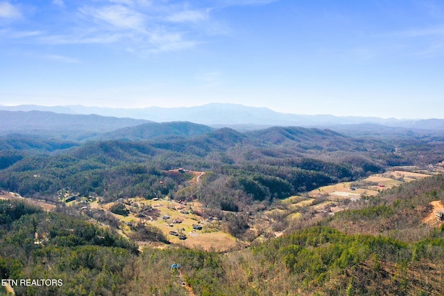 view of mountain feature with a forest view
