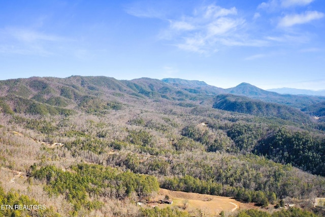 property view of mountains