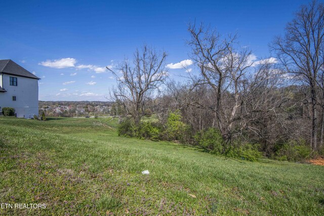 638 Barnsley Rd, Knoxville, TN 37934 - photo 29