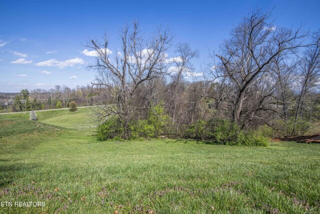 638 Barnsley Rd, Knoxville, TN 37934 - photo 8