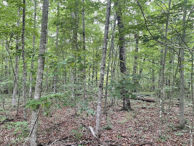 10 T Pl, Monterey, TN 38574 - view of wooded area