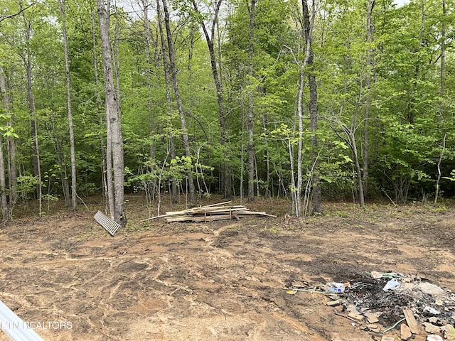 10 T Pl, Monterey, TN 38574 - view of local wilderness