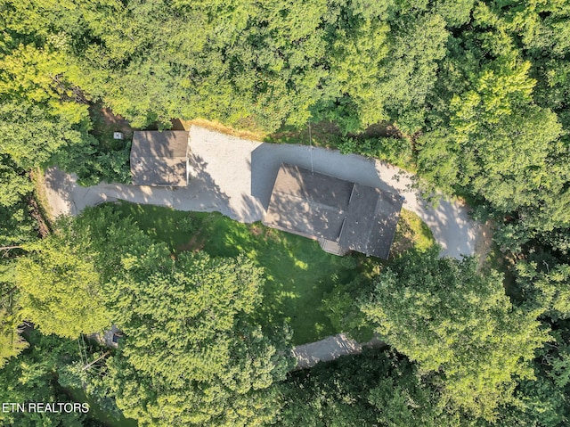 246 Robertson Ln, Caryville, TN 37714 - photo 4