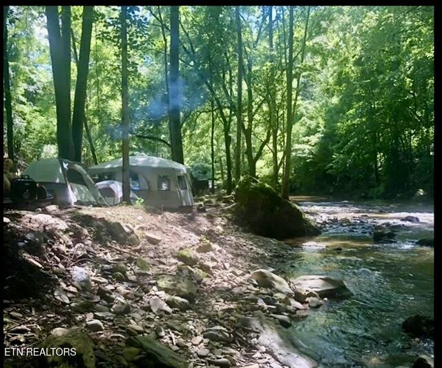 1575 Old 15th Rd, Del Rio, TN 37727 - view of tree filled area