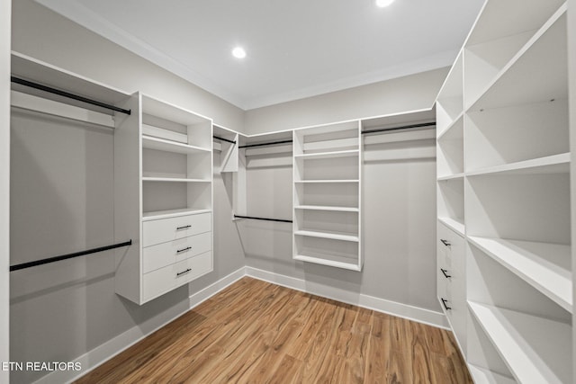 204 Atoka Pl, Loudon, TN 37774 - walk in closet featuring light wood-style flooring