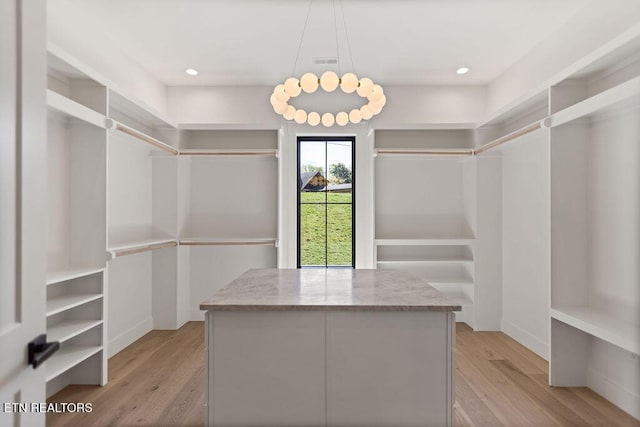 788 Blackberry Ridge Rd, Lenoir City, TN 37772 - spacious closet with light wood-type flooring and visible vents