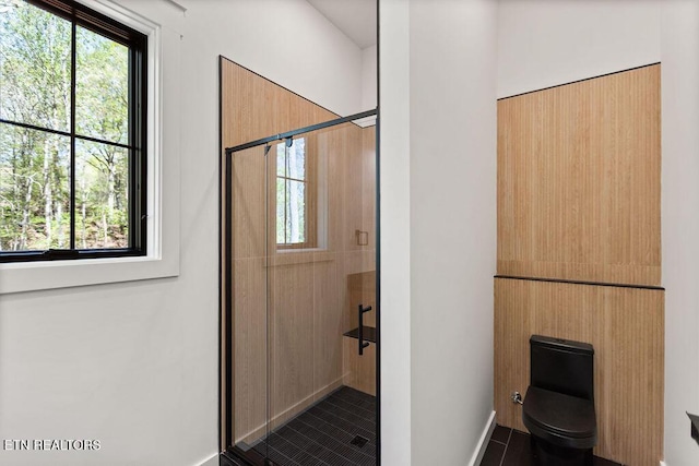 788 Blackberry Ridge Rd, Lenoir City, TN 37772 - bathroom with toilet, plenty of natural light, and a stall shower
