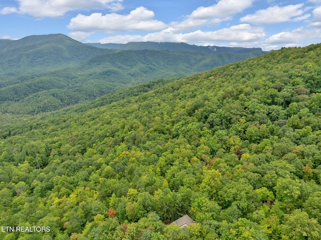 view of mountain feature with a forest view