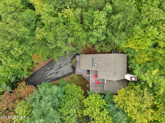 aerial view