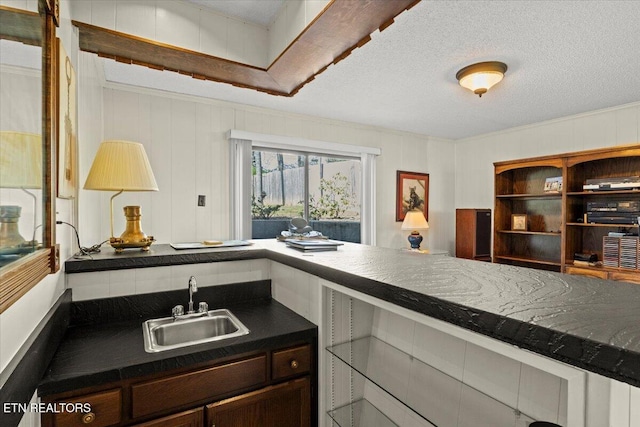 kitchen with dark brown cabinetry, a textured ceiling, a sink, and dark countertops