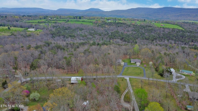bird's eye view featuring a mountain view and a forest view
